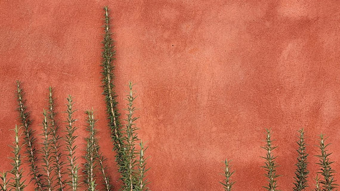 Minimalistyczne kolory i materiały