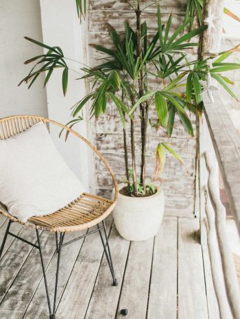 Moda i uroda: Letnie inspiracje w dekoracji domu.