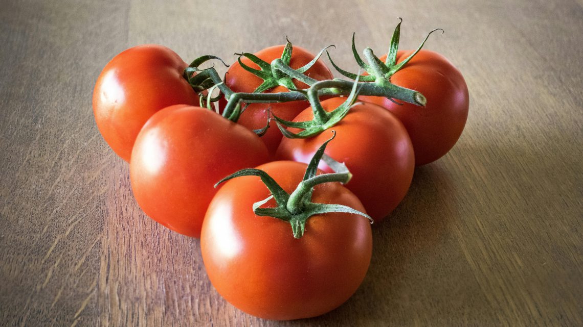 likopen w pomidorach